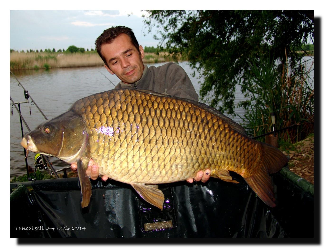 1-4 iunie tancabesti - dsc00254.jpg